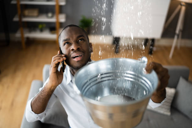 Best Professional water damage repair  in White City, UT
