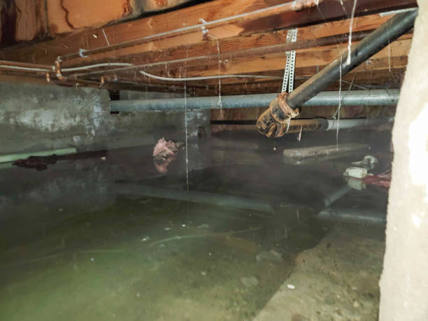Best 24-hour water damage restoration  in White City, UT