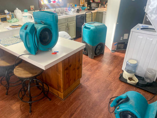 Best Carpet water damage restoration  in White City, UT