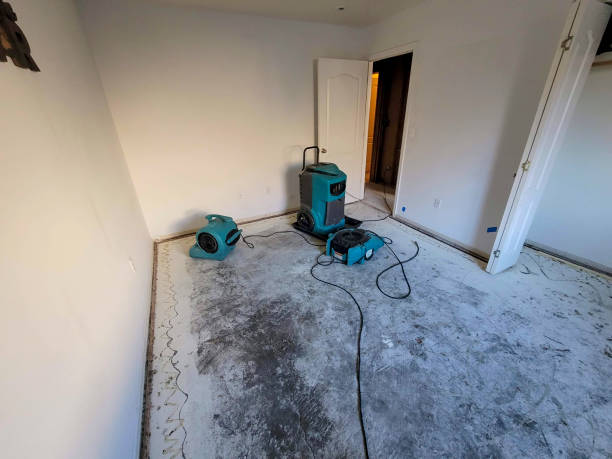 Best Commercial water damage restoration  in White City, UT