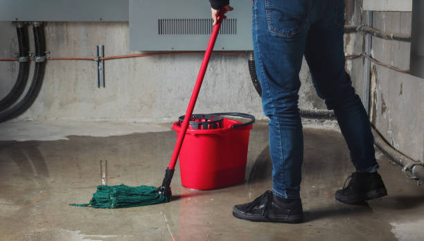 Best Basement water damage restoration  in White City, UT