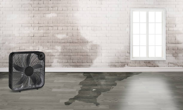 Best Water damage restoration near me  in White City, UT