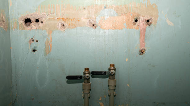 Best Water damage restoration process  in White City, UT