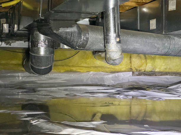 Best Local water damage restoration  in White City, UT