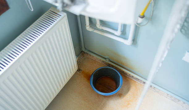 Carpet water damage restoration in White City, UT