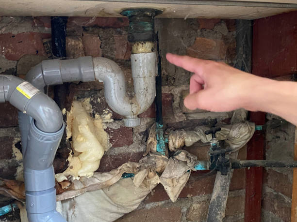 Best Mold removal after water damage  in White City, UT