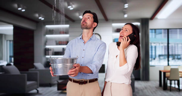 Water damage restoration mold remediation in White City, UT