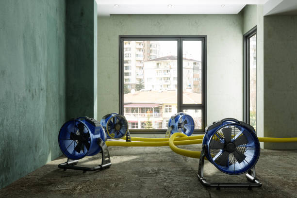 Best Water damage contractors near me  in White City, UT